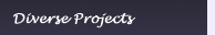 Diverse Projects